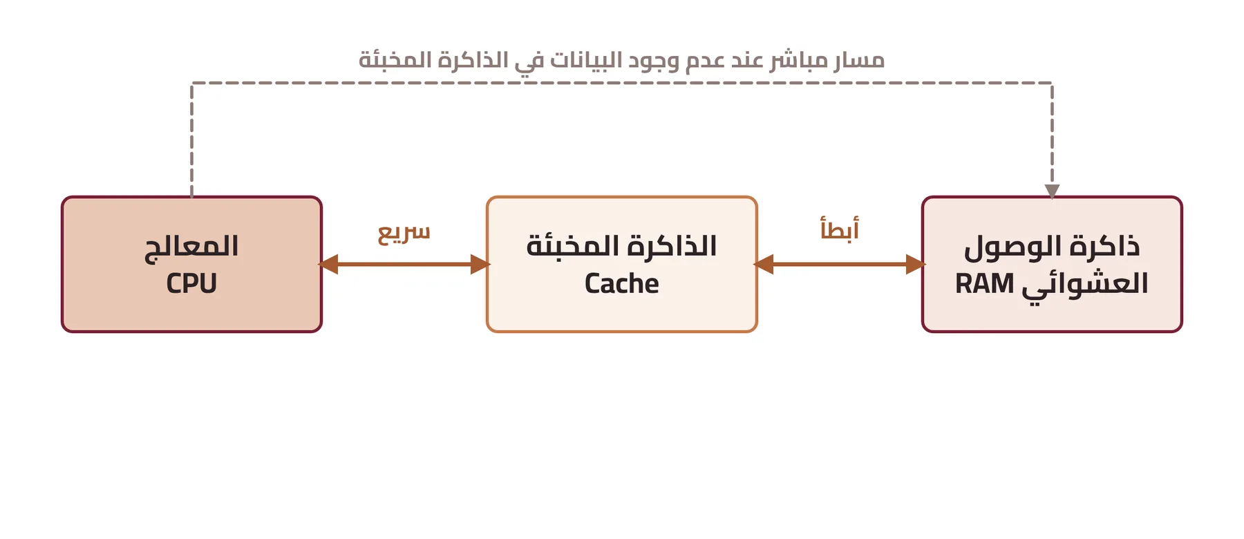شكل ٢-١٠: إرسال البيانات بين المعالج والذاكرة العشوائية والذاكرة المخبئة
