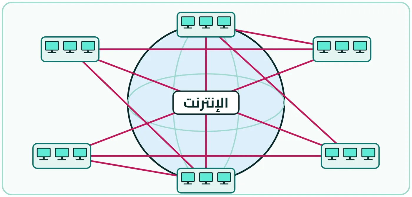 شكل ٥-١: شبكة الإنترنت